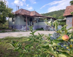 , 62m2 dans Badesti