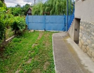 Maison 4 chambres à vendre dans Manastireni