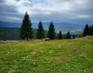 , 50m2 dans Balcesti (belis), zone Centru