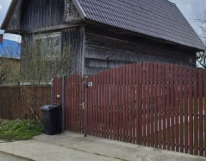 Maison 2 chambres à vendre dans Balcesti (belis), zone Centru