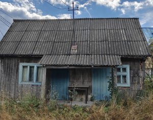 Maison 2 chambres à vendre dans Balcesti (belis), zone Centru