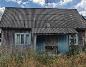 Maison 2 chambres à vendre dans Balcesti (belis), zone Centru