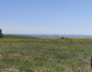 , 2519m2 on Aiton