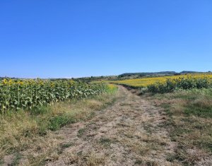 , 2900m2 on Macicasu