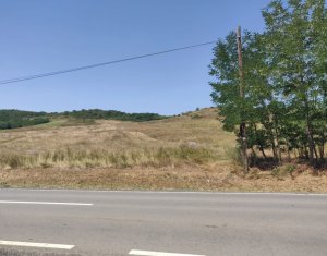 , 11400m2 dans Corpadea