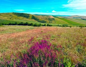 Terrain à vendre dans Corpadea