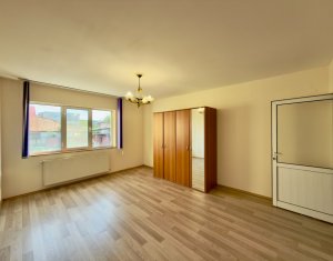 Maison 6 chambres à vendre dans Cluj-napoca, zone Intre Lacuri
