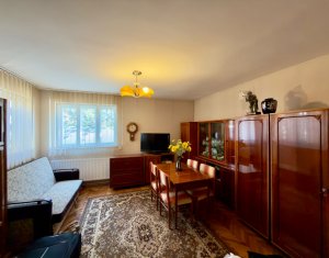 Maison 6 chambres à vendre dans Cluj-napoca, zone Intre Lacuri