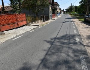 Maison 3 chambres à vendre dans Manastireni