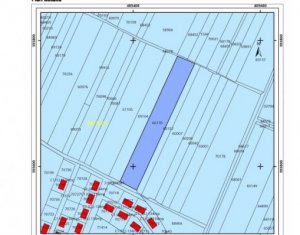 , 6500m2 dans Jucu De Mijloc