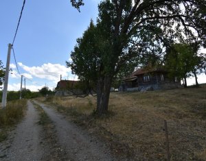 Ház 3 szobák eladó on Vanatori