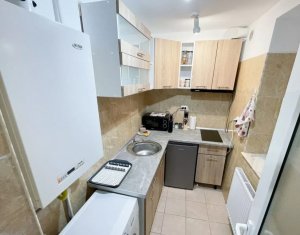 Central, PET FRIENDLY, 2 camere,  Piața Mihai Viteazu 