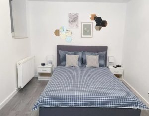 Central, PET FRIENDLY, 2 camere,  Piața Mihai Viteazu 