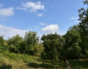 , 48m2 dans Gheorghieni