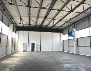 Espace Industriel à louer dans Cluj-napoca, zone Someseni