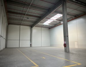 Espace Industriel à louer dans Apahida