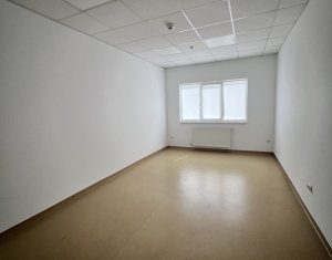 Espace Industriel à louer dans Apahida