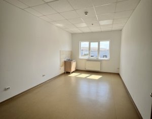 Espace Industriel à louer dans Apahida