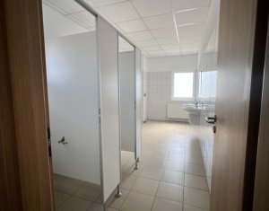 Espace Industriel à louer dans Apahida
