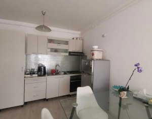 Appartement 2 chambres à louer dans Cluj-napoca, zone Iris