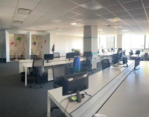 Bureau à louer, 643m2 dans Cluj-napoca, zone Centru