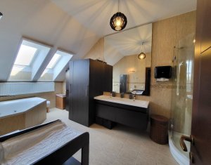 Penthouse, 4 camere, terasa cu panorama, Buna Ziua