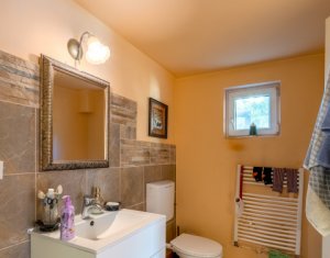 Vanzare casa individuala, spatioasa in Gruia teren 657 mp, zona linistita