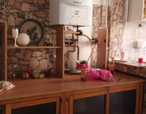 De vanzare casa individuala Gruia