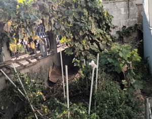 De vanzare casa individuala Gruia