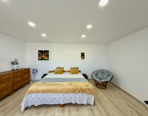 Oportunitate unică de investiție în zonă centrală (Victor Babeș)