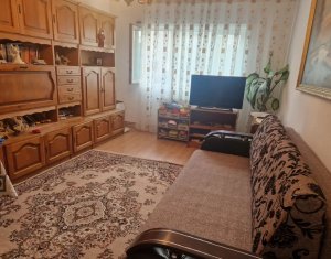 Appartement 2 chambres à louer dans Cluj-napoca, zone Intre Lacuri