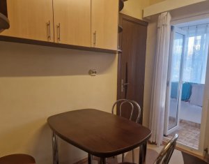 Appartement 2 chambres à louer dans Cluj-napoca, zone Intre Lacuri