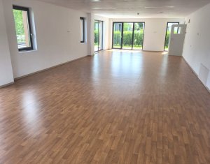 Espace Commercial à vendre dans Cluj-napoca, zone Marasti