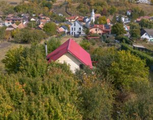 Casă individuală + 1000 mp teren - Sălicea