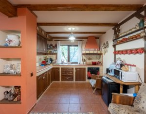 Casă individuală + 1000 mp teren - Sălicea