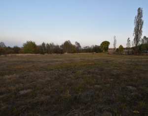Teren intravilan in Dangaul Mare, drum asfaltat, canalizare, apa, curent