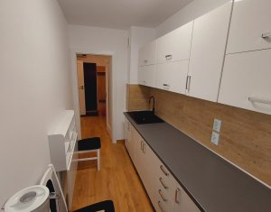 Apartament 1 camera, zona USAMV-PLATINIA