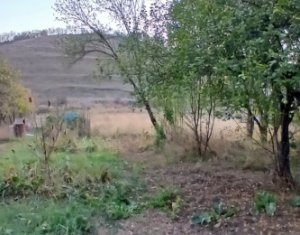 Casa de vanzare in Pata cu teren mare