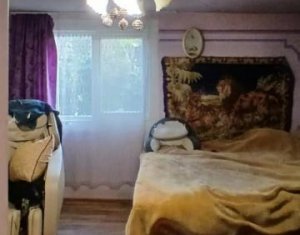 Maison 2 chambres à vendre dans Capusu Mare
