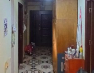 Maison 2 chambres à vendre dans Capusu Mare