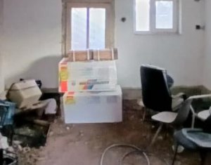 Maison 2 chambres à vendre dans Capusu Mare