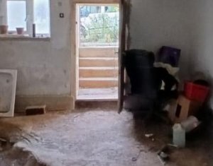 Maison 2 chambres à vendre dans Capusu Mare