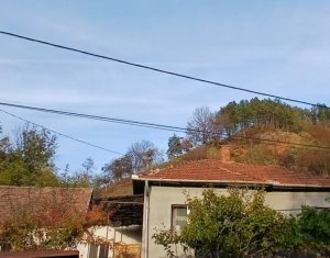 Maison 2 chambres à vendre dans Capusu Mare