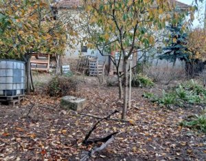 Maison 2 chambres à vendre dans Capusu Mare