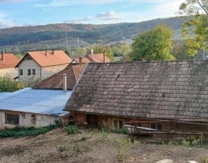 Maison 2 chambres à vendre dans Capusu Mare