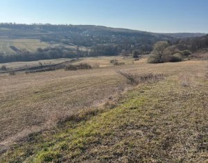 Terrain à vendre dans Saliste