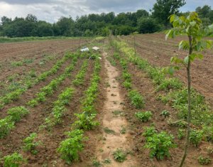 , 700m2 in Saliste