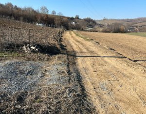 Teren extravilan cu gradina in Saliste