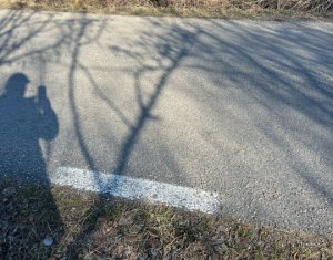 Teren extravilan cu gradina in Saliste