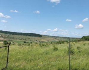 Teren intravilan 2.673 mp | Feiurdeni, Chinteni
